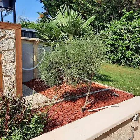Reves Bleus Homestay